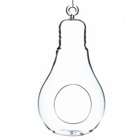 WGV International Bulb Glass Terrarium   